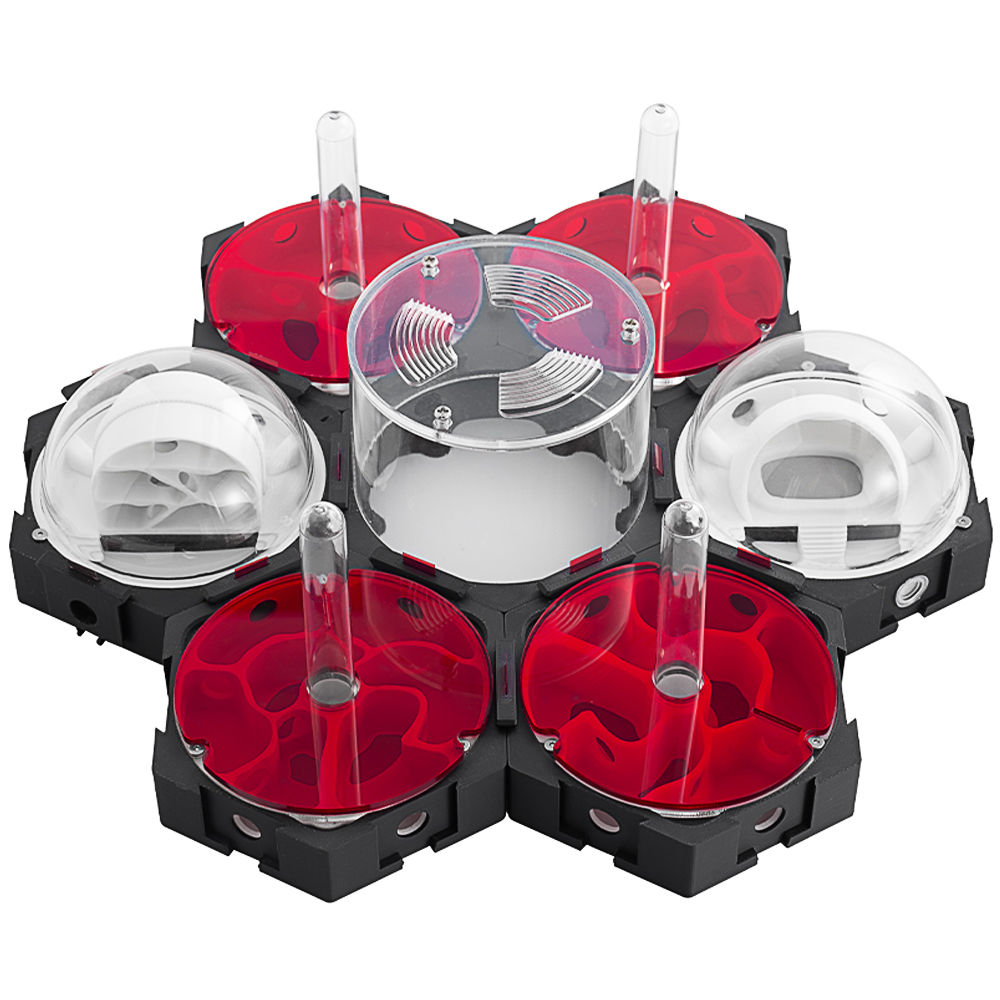 Begonia Rex - 3D Afdrukken Mierennest Traploos Uitbreidbaar Mier