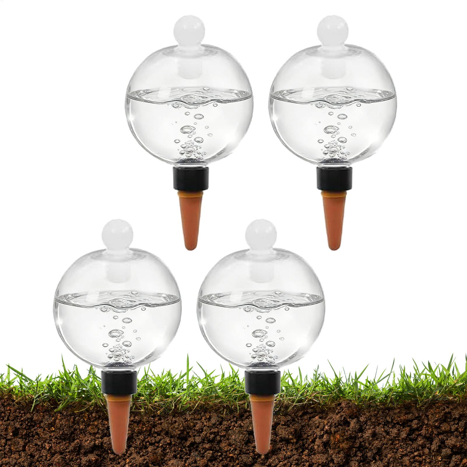 Echeveria Succulent - Plantenbewateringsbollen 4 stuks 500ml Transparante Automatische