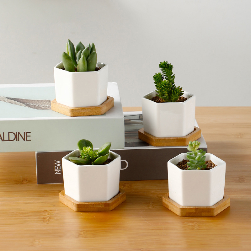 Aloe Vera Pot - Keramische Bloempot Witte Zeshoek Keramische Pot