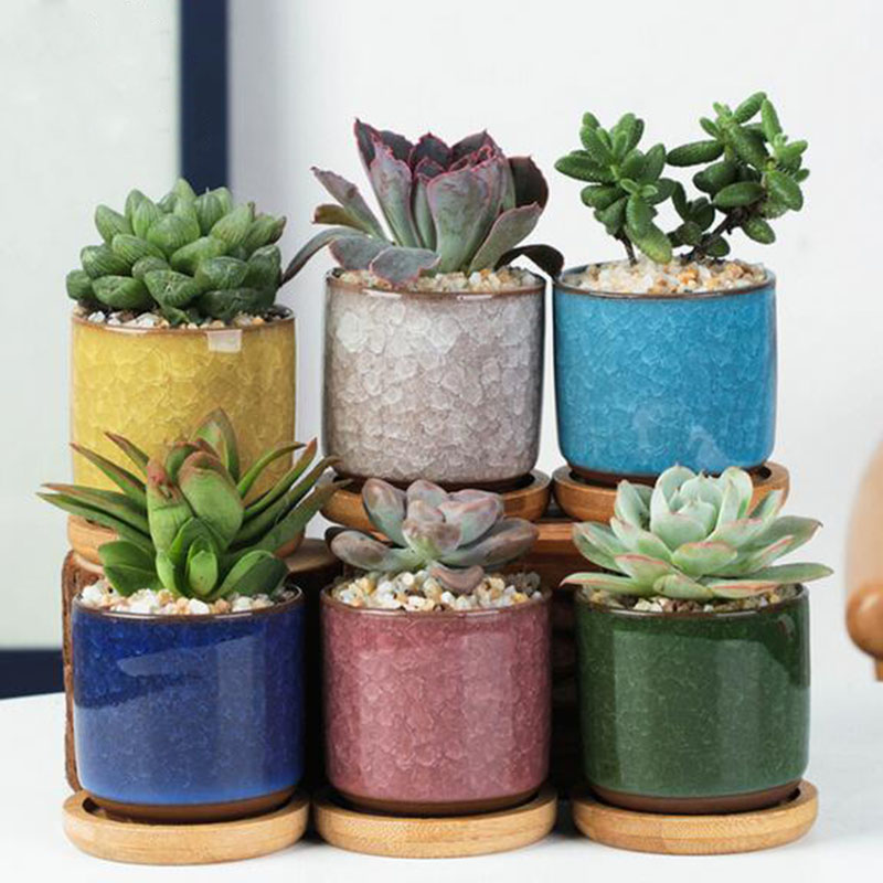 Aloe Vera Pot - 6 stks/set Keramische Bloempot Set Mini