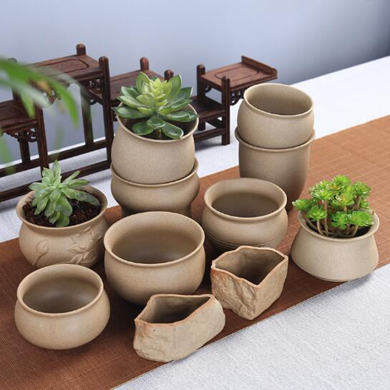 Aloe Vera Pot - Retro Grof Aardewerk Vetplant Pot Beathable