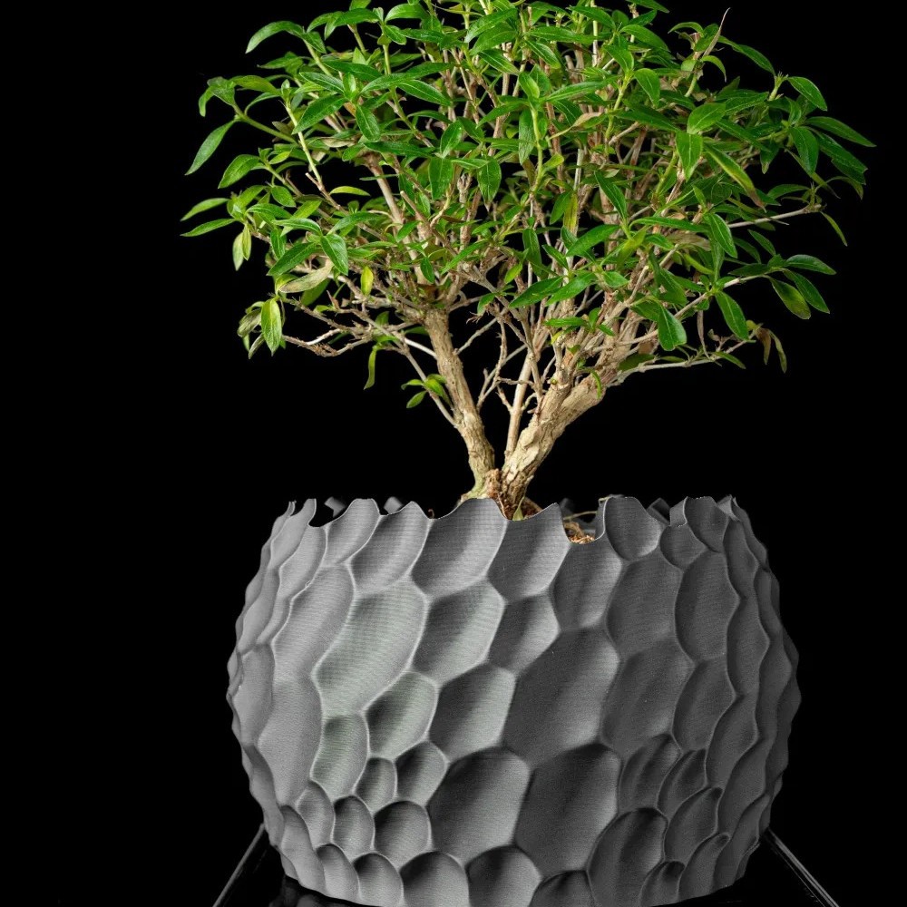 Aloe Vera Pot - Gestructureerde bloempot met onregelmatige ruwe rand,