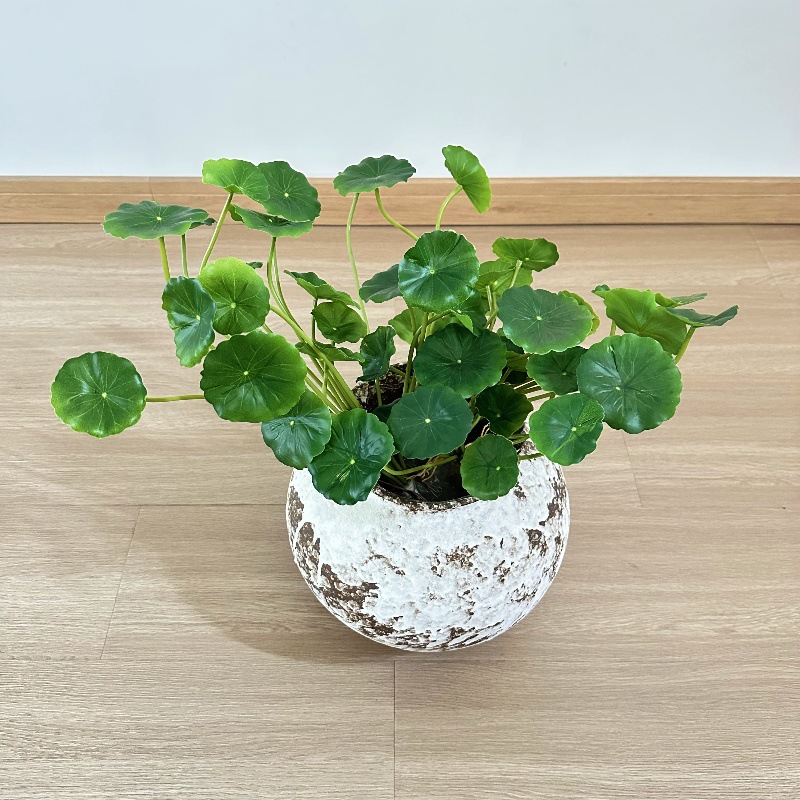 Pilea Peperomioides - 2 stuks Kunstmatige Pilea Peperomioides Bonsai
