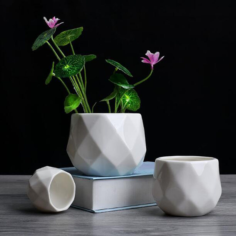 Aloe Vera Pot - Europese Eenvoud Stijl Wit Porselein Veelvlak