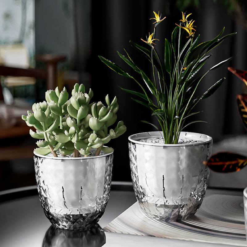 Transparante Plastic Luie Plan - Aloe Vera Pot recensie en prijs