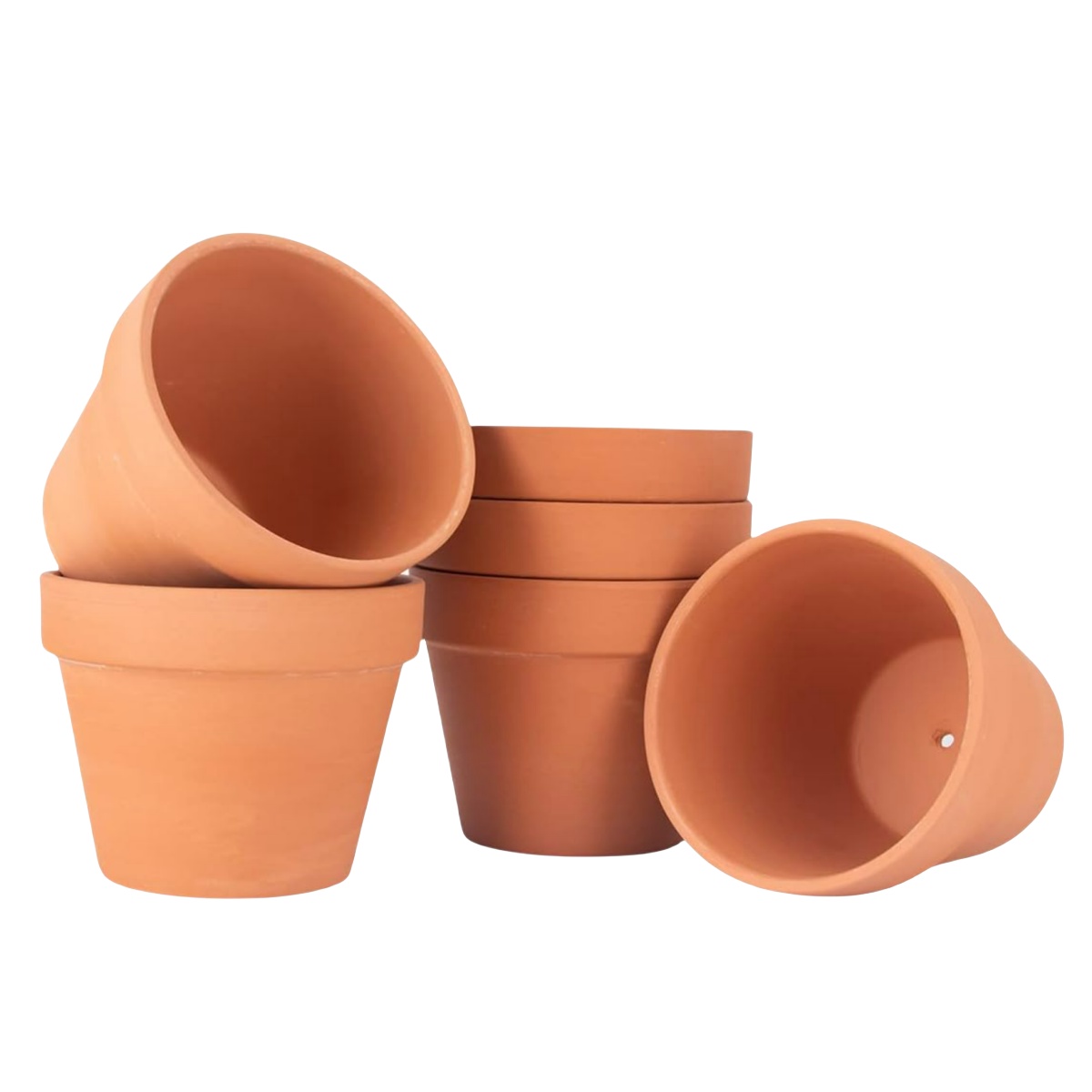 6 stks 4 inch Terracotta Potte - Echeveria Succulent recensie en prijs