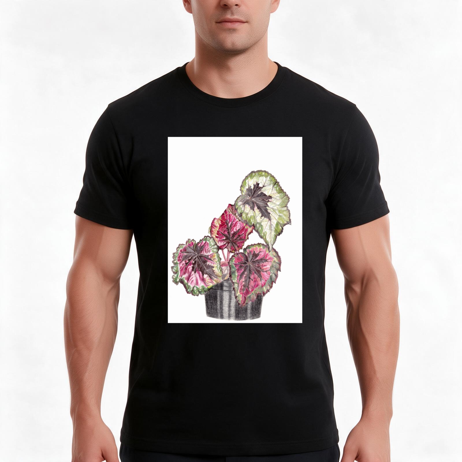 Begonia Rex T-shirt, zomerse,  - Begonia Rex recensie en prijs