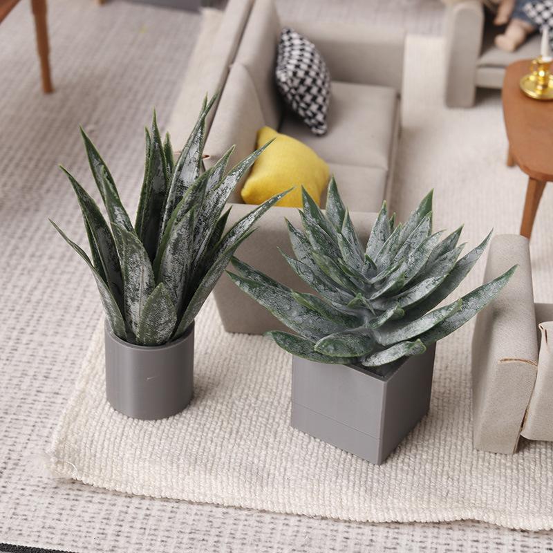 Miniatuur Aloë Vera Potplant O - Aloe Vera Pot recensie en prijs
