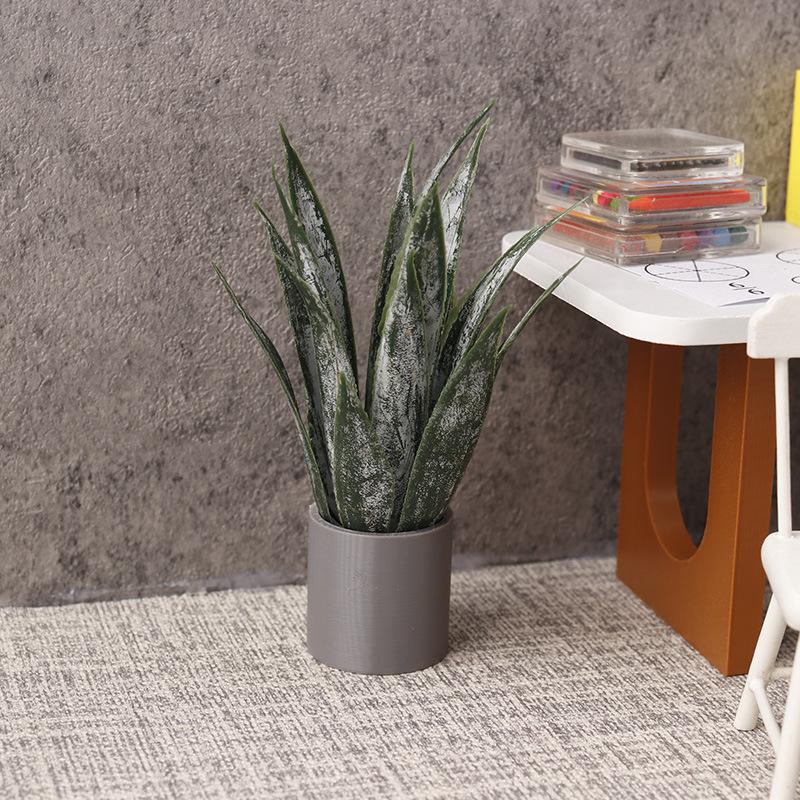 Miniatuur Aloë Vera Potplant O - Aloe Vera Pot recensie en prijs