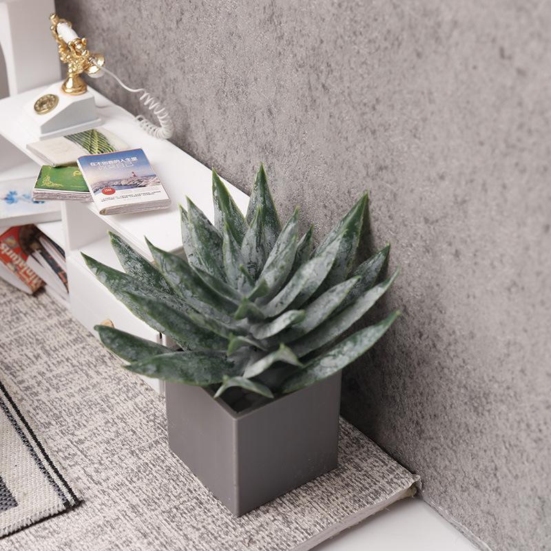 Miniatuur Aloë Vera Potplant O - Aloe Vera Pot recensie en prijs