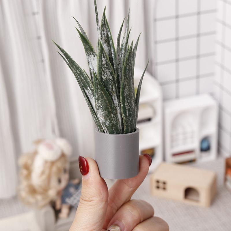 Miniatuur Aloë Vera Potplant O - Aloe Vera Pot recensie en prijs
