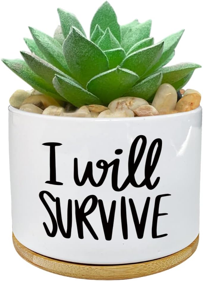 Ik zal overleven Keramische ve - Aloe Vera Pot recensie en prijs