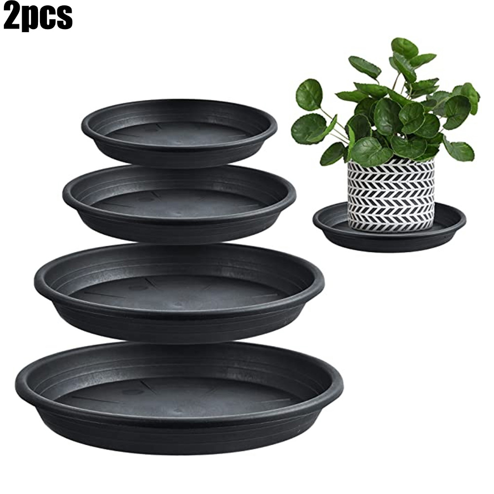 2 Stuks Plantenbakken Rond Sap - Echeveria Succulent recensie en prijs