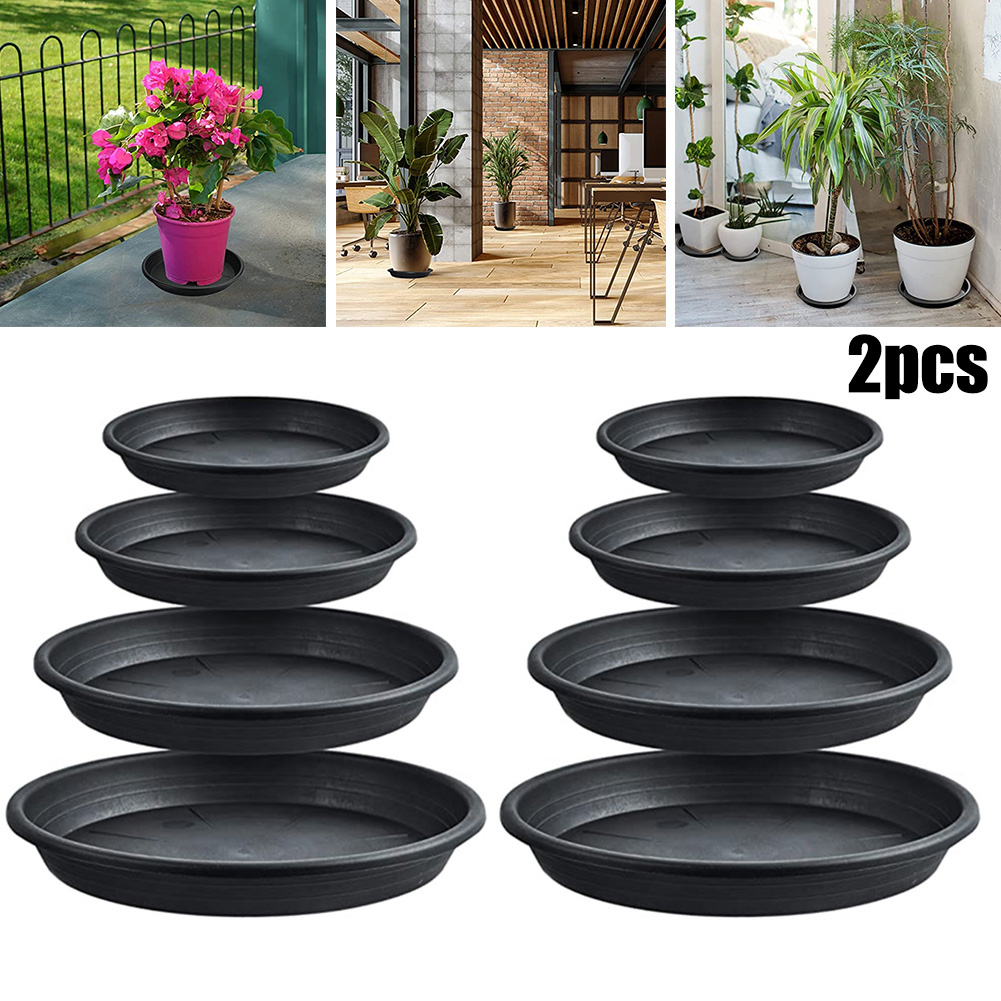 2 Stuks Plantenbakken Rond Sap - Echeveria Succulent recensie en prijs