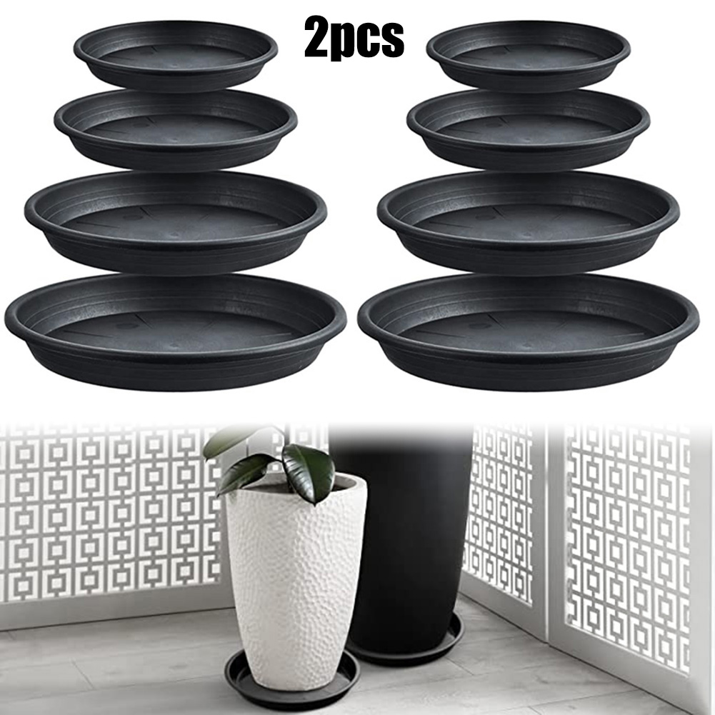 2 Stuks Plantenbakken Rond Sap - Echeveria Succulent recensie en prijs