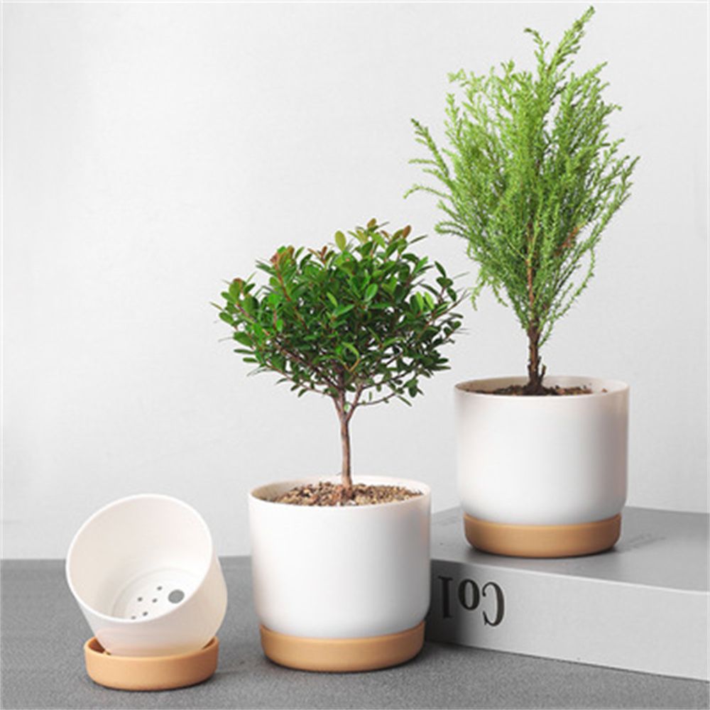 Ronde groene plantenbak met ze - Aloe Vera Pot recensie en prijs