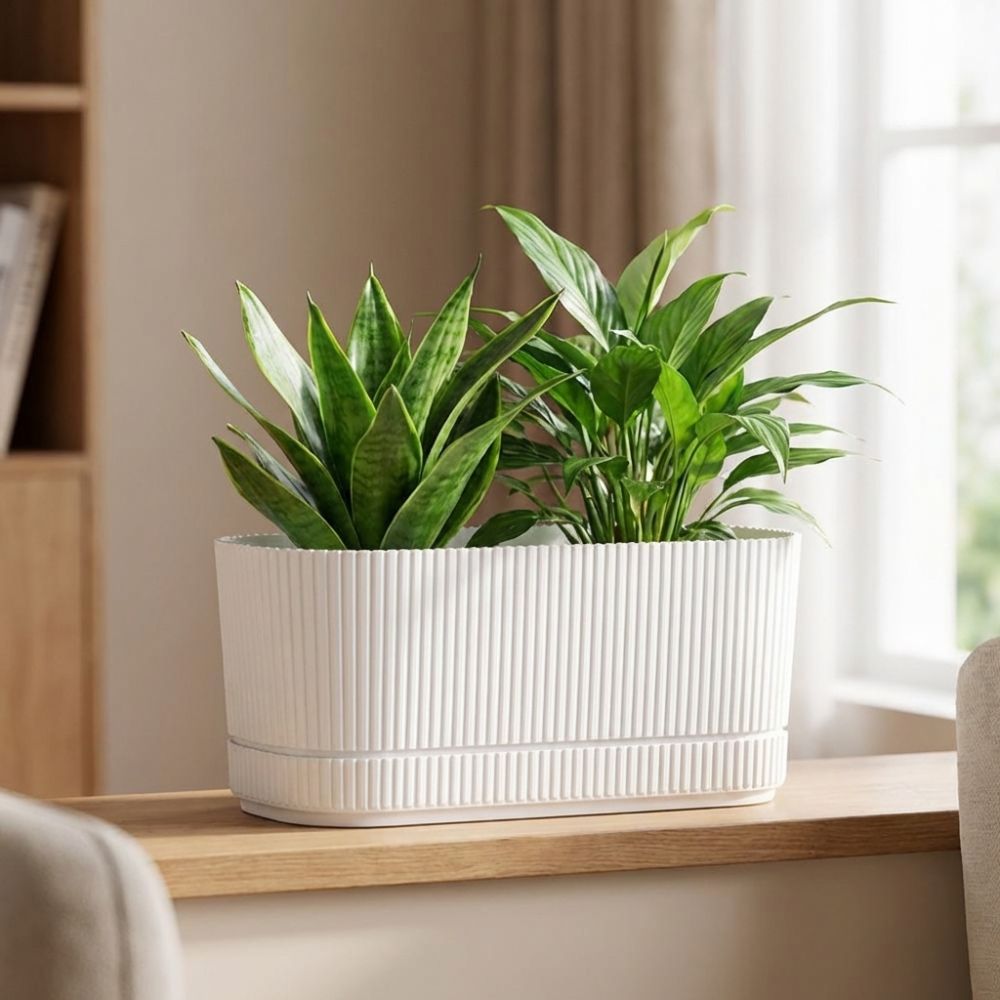 Plastic zelfwatergevende bloem - Aloe Vera Pot recensie en prijs