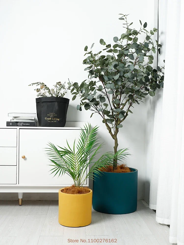 1 st Nieuwe Pure Kleur Keramis - Echeveria Succulent recensie en prijs