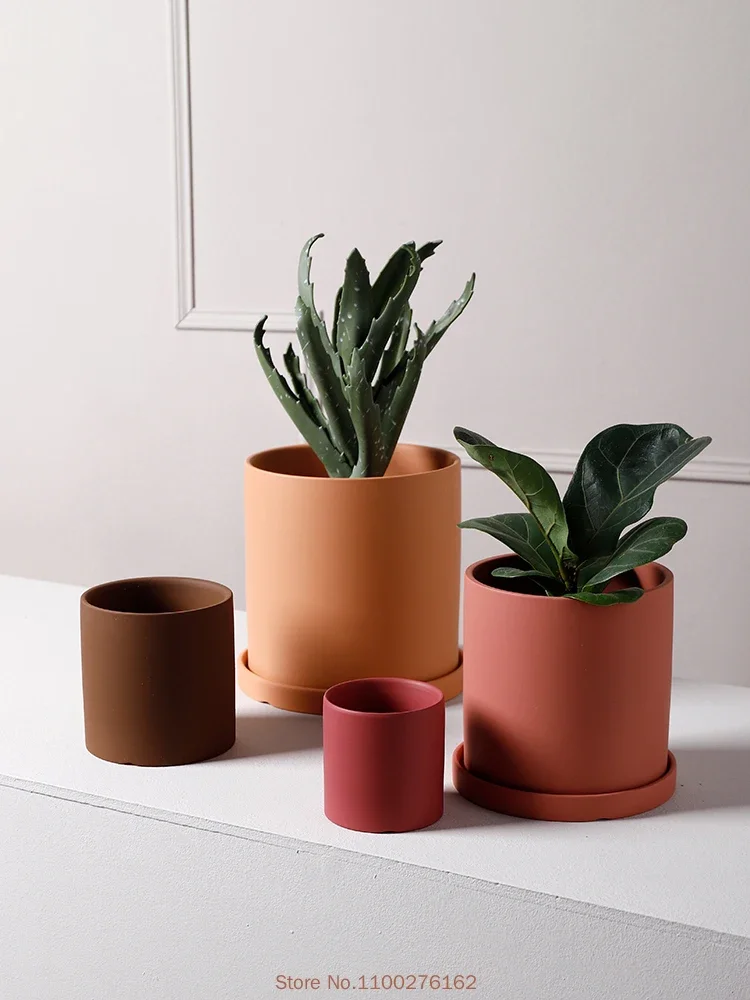 1 st Nieuwe Pure Kleur Keramis - Echeveria Succulent recensie en prijs