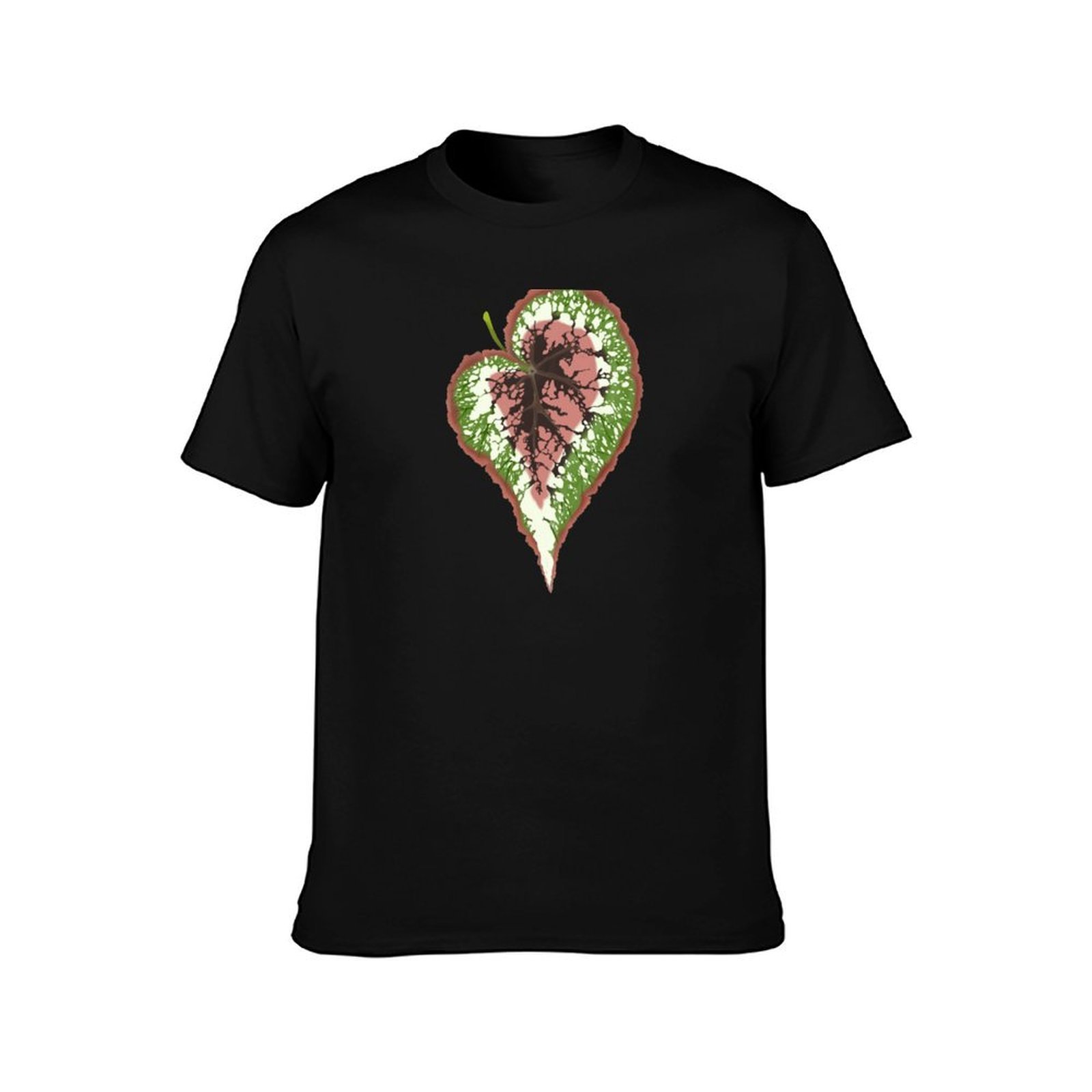 Begonia Rex T-shirt, zomerse,  - Begonia Rex recensie en prijs