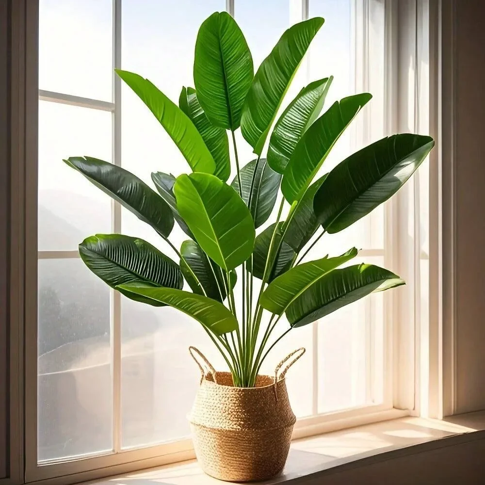 1 st 18 Bladeren Kunstplanten  - Monstera Adansonii recensie en prijs