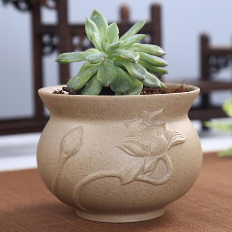 Retro Grof Aardewerk Vetplant  - Aloe Vera Pot recensie en prijs