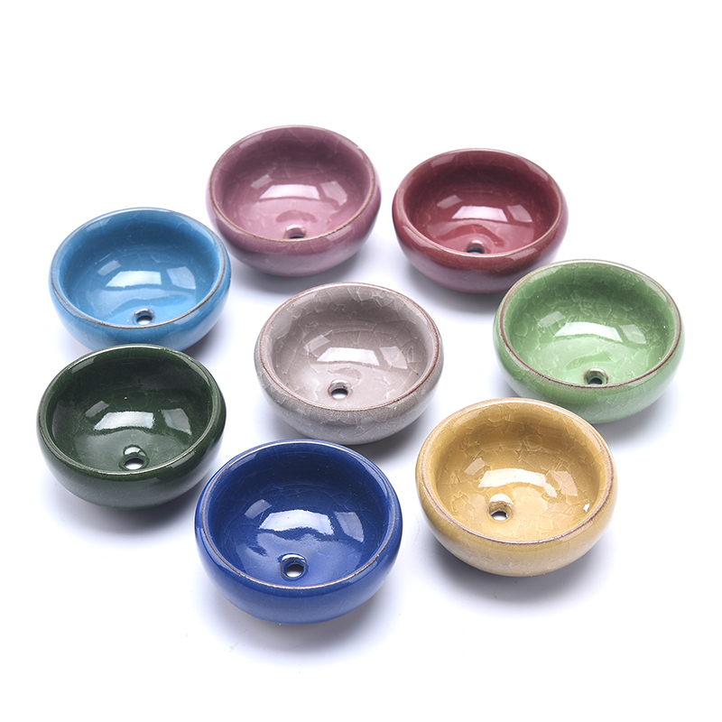 Leuke Ice-Crack Glaze Flower K - Echeveria Succulent recensie en prijs