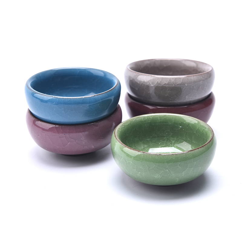 Leuke Ice-Crack Glaze Flower K - Echeveria Succulent recensie en prijs