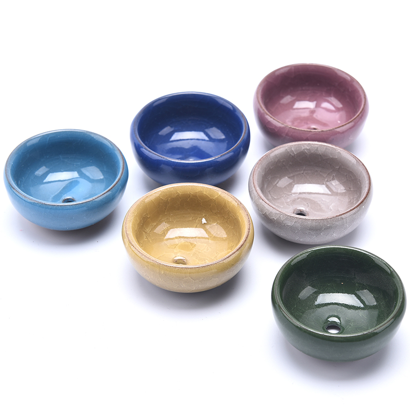 Leuke Ice-Crack Glaze Flower K - Echeveria Succulent recensie en prijs