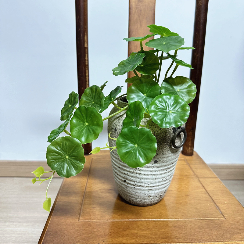 2 stuks Kunstmatige Pilea Pepe - Pilea Peperomioides recensie en prijs