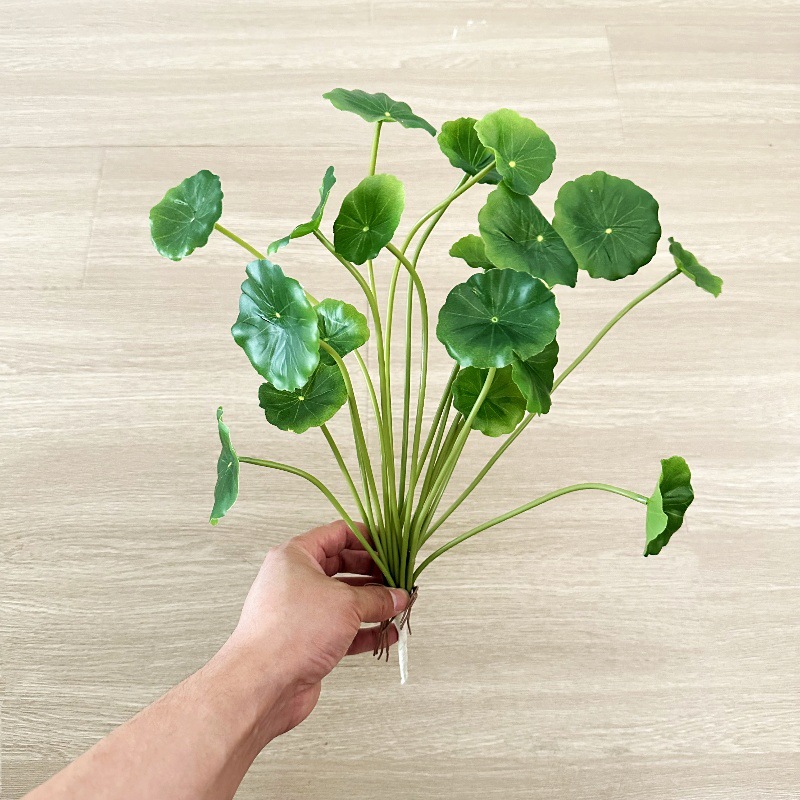 2 stuks Kunstmatige Pilea Pepe - Pilea Peperomioides recensie en prijs