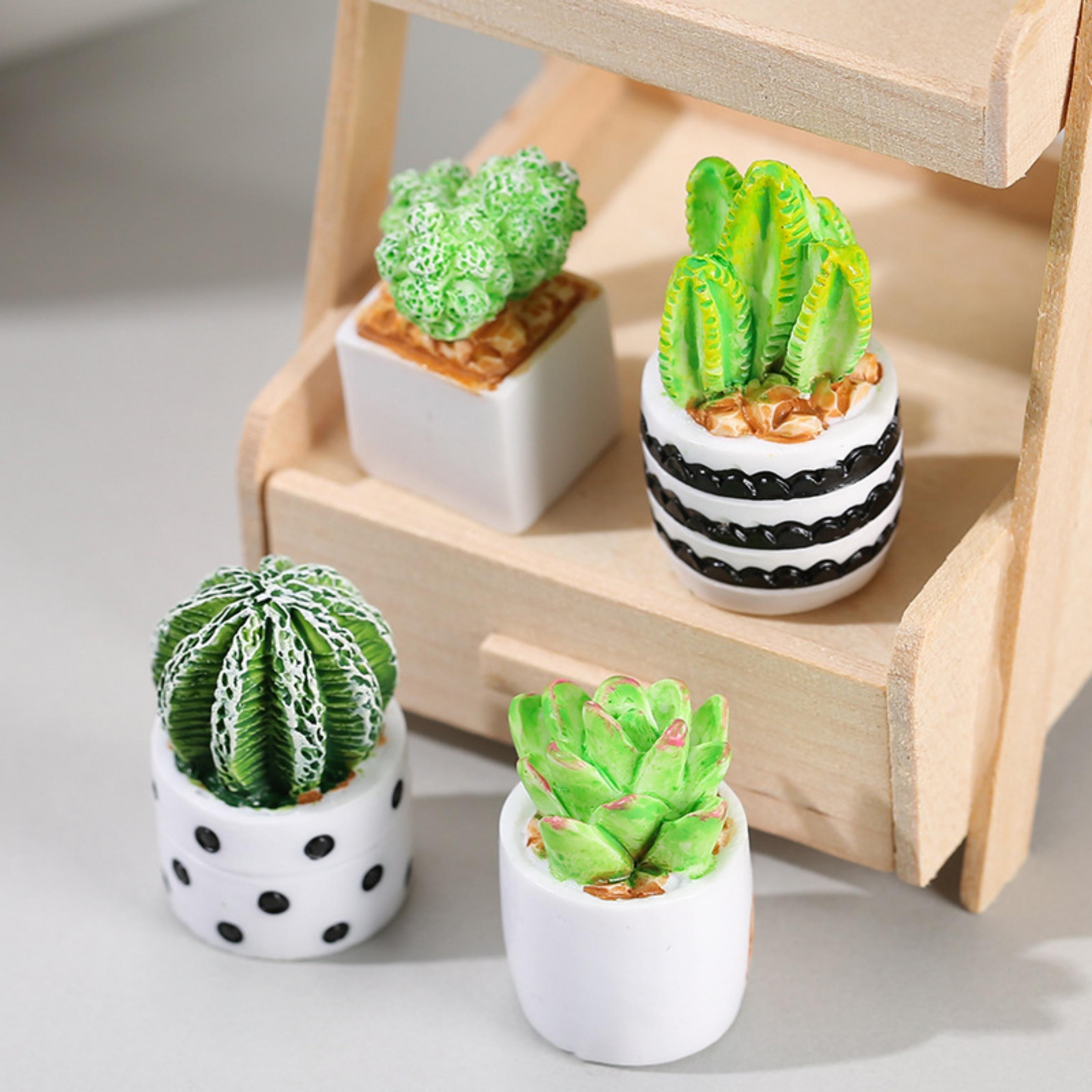4-delige set cactus- en vetpla - Echeveria Succulent recensie en prijs