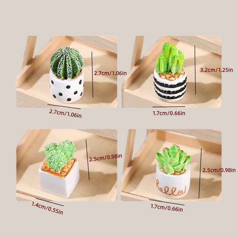 4-delige set cactus- en vetpla - Echeveria Succulent recensie en prijs