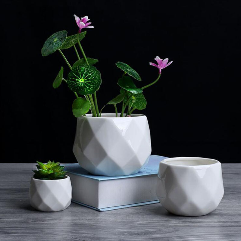 Europese Eenvoud Stijl Wit Por - Aloe Vera Pot recensie en prijs