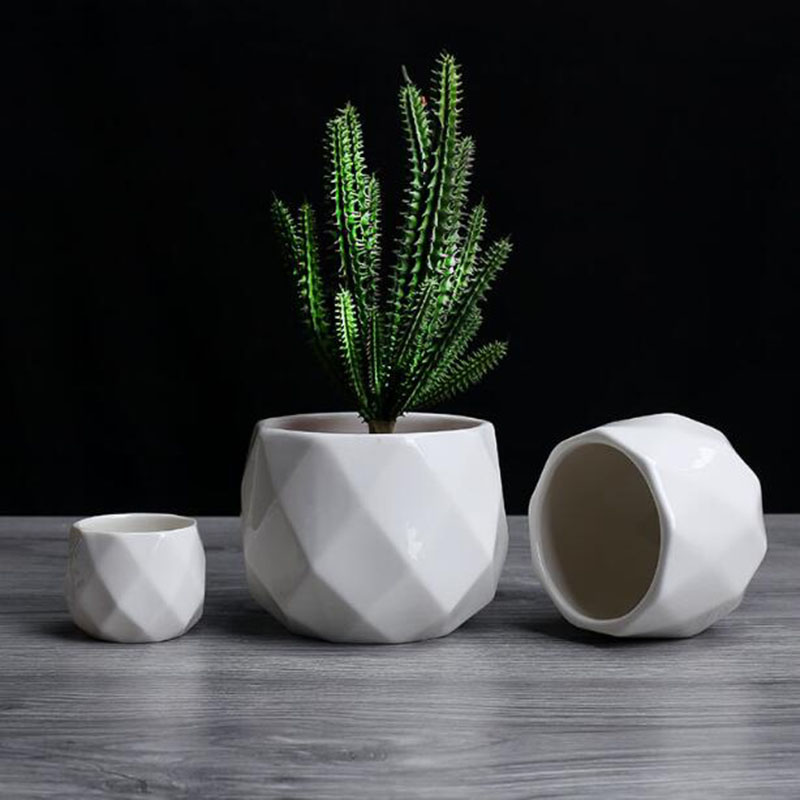 Europese Eenvoud Stijl Wit Por - Aloe Vera Pot recensie en prijs