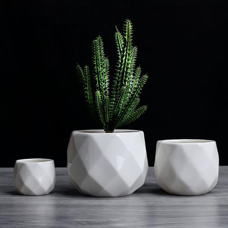 Europese Eenvoud Stijl Wit Por - Aloe Vera Pot recensie en prijs